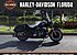 2010 Harley-Davidson Softail for sale 200786212