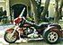 2010 Harley-Davidson Trike for sale 200548821