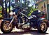2010 Harley-Davidson Trike for sale 200984113