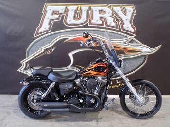 2010 Harley-Davidson Dyna