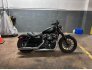 2010 Harley-Davidson Sportster Iron 883 for sale 201412216