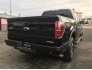 2011 Ford F150 for sale 101676388