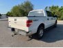 2011 Ford F150 for sale 101745587