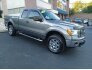 2011 Ford F150 for sale 101795235