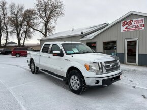 2011 Ford F150 for sale 101816771