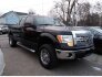 2011 Ford F150 for sale 101830640