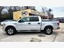 2011 Ford F150 for sale 101843714