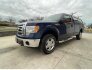 2011 Ford F150 for sale 101849582