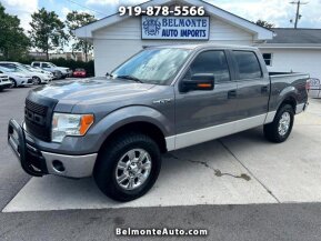 2011 Ford F150 for sale 101941043