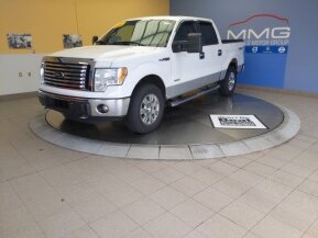 2011 Ford F150 for sale 101995399