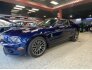 2011 Ford Mustang Shelby GT500 for sale 101732032