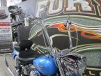 Thumbnail Photo 3 for 2011 Harley-Davidson Softail