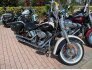 2011 Harley-Davidson Softail for sale 201382326