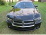 2012 Dodge Charger for sale 100768736