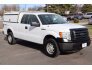 2012 Ford F150 for sale 101655291