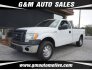 2012 Ford F150 for sale 101773079