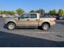 2012 Ford F150 for sale 101786698