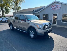 2012 Ford F150 for sale 101786698