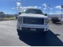 2012 Ford F150 for sale 101791068