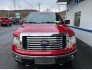 2012 Ford F150 for sale 101842928