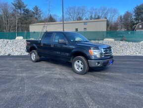 2012 Ford F150 for sale 101852506