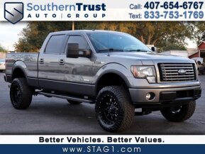 2012 Ford F150 for sale 101965643