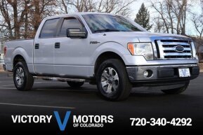 2012 Ford F150 for sale 101999045