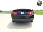Thumbnail Photo 5 for 2012 Ford Mustang Shelby GT500