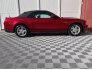 2012 Ford Mustang for sale 101686471