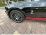 2012 Ford Mustang Shelby GT500 Convertible for sale 101844078