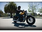 Thumbnail Photo 5 for 2012 Harley-Davidson Sportster