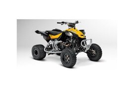 2013 Can-Am DS 250 450 EFI Xmx specifications