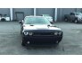 2013 Dodge Challenger R/T for sale 101773948
