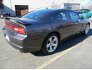 2013 Dodge Charger for sale 101815456