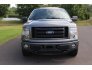 2013 Ford F150 for sale 101769883
