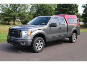 2013 Ford F150 for sale 101769883