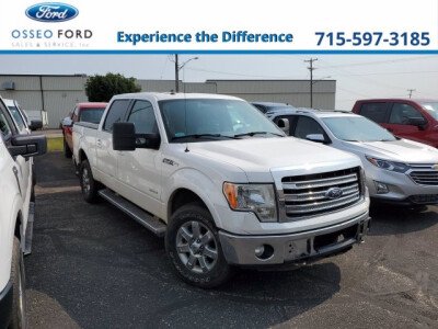 2013 Ford F150 for sale 101602718