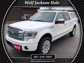 2013 Ford F150 for sale 101638706
