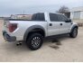 2013 Ford F150 for sale 101663857