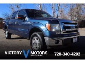 2013 Ford F150 for sale 101670999