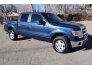 2013 Ford F150 for sale 101670999