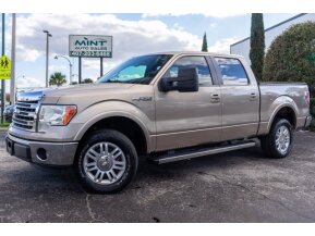 2013 Ford F150 for sale 101678192