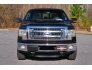 2013 Ford F150 for sale 101686504