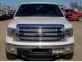 2013 Ford F150 for sale 101693804