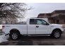 2013 Ford F150 for sale 101694445