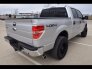 2013 Ford F150 for sale 101695010