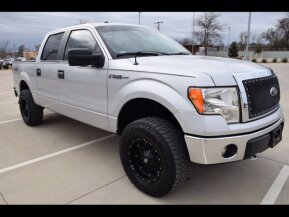 2013 Ford F150 for sale 101695010
