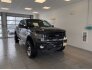 2013 Ford F150 for sale 101695103