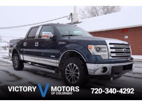 2013 Ford F150 for sale 101696089