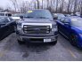 2013 Ford F150 for sale 101713309